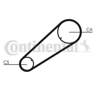 Timing Belt
